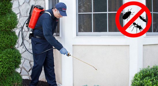 Pınarbaşı Böcek İlaçlama böcek ilaçlama ve haşere kontrolü — ilaclama-tr.com